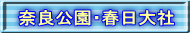 ޗǌEt