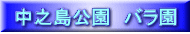 V@o