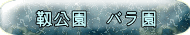 Ռ@o