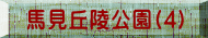nuˌ(4)