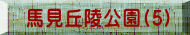 nuˌ(5)