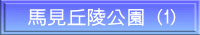 nuˌ (1)