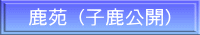  (qJ)