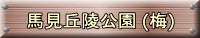 nuˌ (~)
