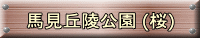 nuˌ ()