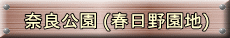 ޗǌ (t쉀n) 