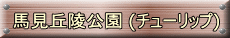 nuˌ (`[bv)