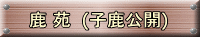    (qJ)