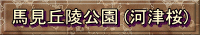 nuˌ (͒Í)