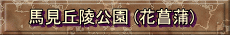 nuˌ (ԏҊ)