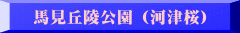 nuˌ (͒Í)