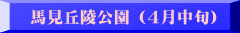 nuˌ (S{)
