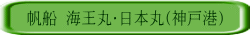 D CہE{(_ˍ`)