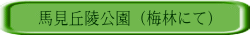nuˌ (~тɂ)