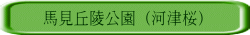 nuˌ (͒Í)
