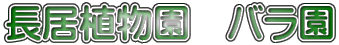 A@o