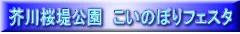 H@̂ڂtFX^
