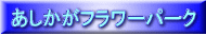 t[p[N