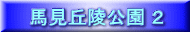 nuˌ Q