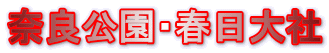 ޗǌEt