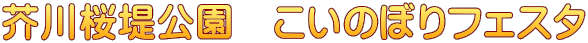 H@̂ڂtFX^